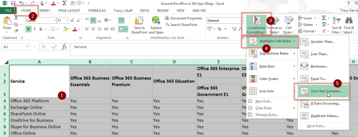 Conditional Formatting 1