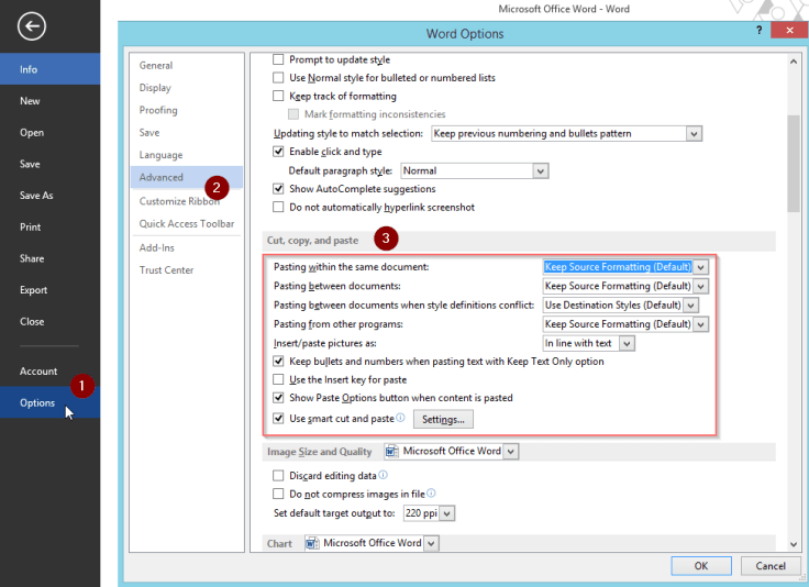 WordConfigurePasteOptions1